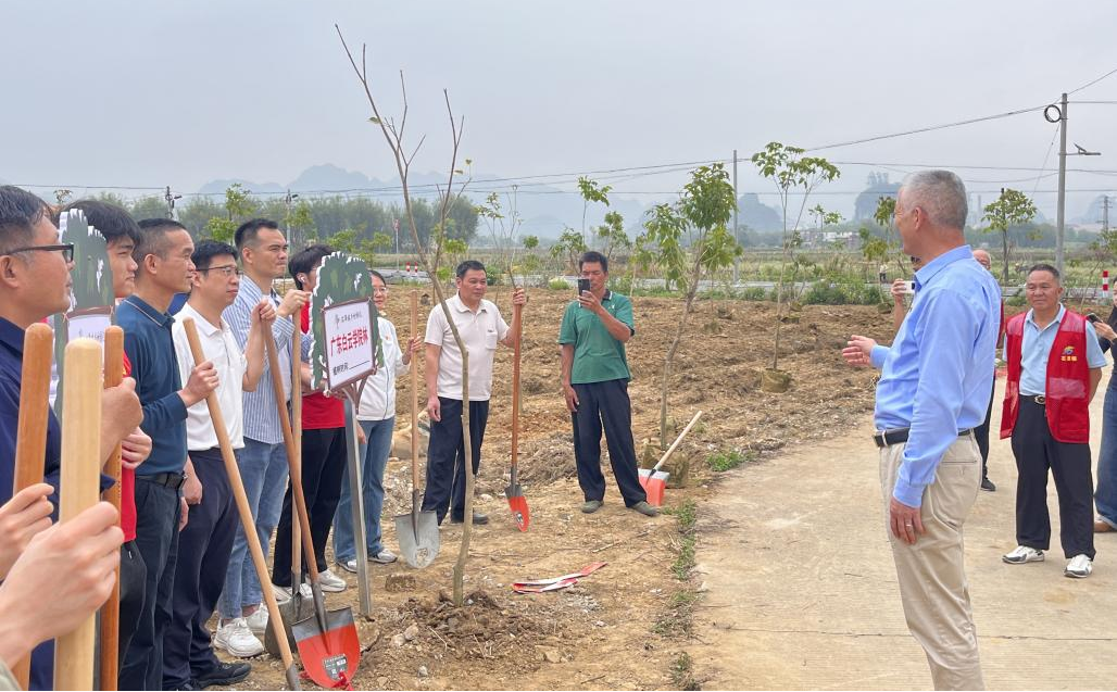 20250414141303465.png 20250414141303465.png