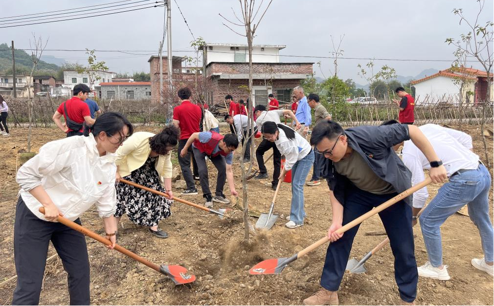 20250414141610488.png 20250414141610488.png