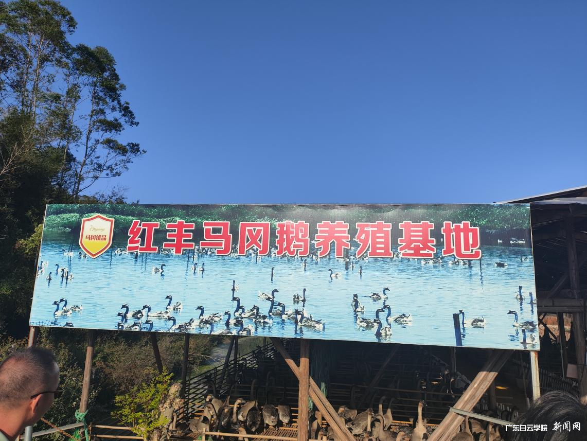 20241112152527153.png 20241112152527153.png